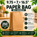 9.75x7x16.5" paper bag